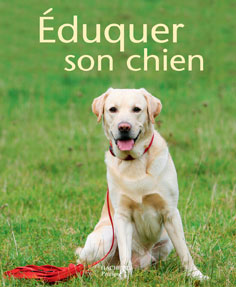 Eduquer son chien adulte Eduquer son chien adulte