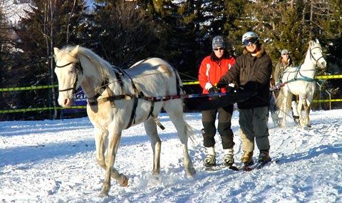 Tranquille le ski tracté par un cheval