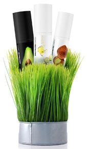 beaute-hom-WWM beauté bio homme