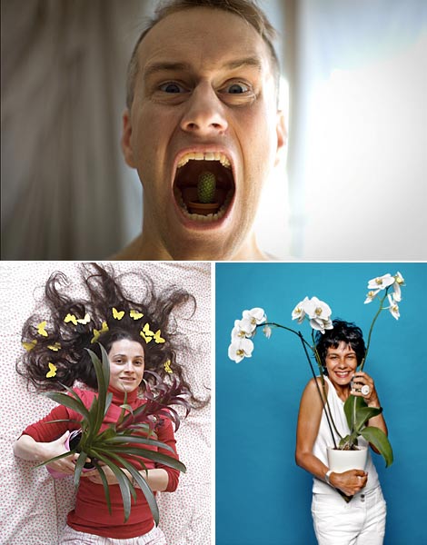 jai-gagne1 plantes et fleurs