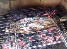 cuisson barbecue