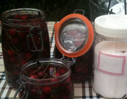 cerises eau de vie
